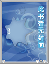 私人定制系统